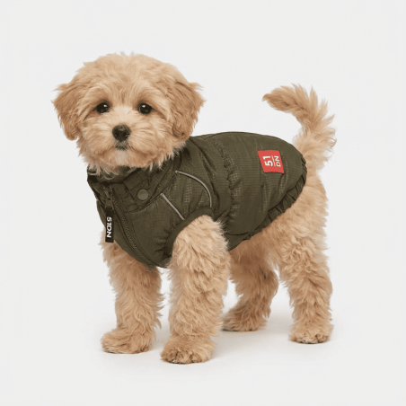 Abrigo para perro Adventure verde | 51 Degrees North