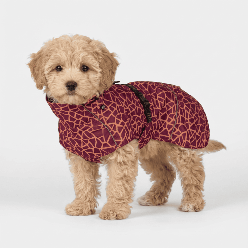Rukka Hayton Warm: impermeable per a gos Carmine