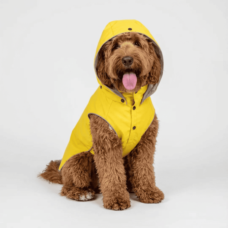 Impermeable per a Gos Stream Reflectant