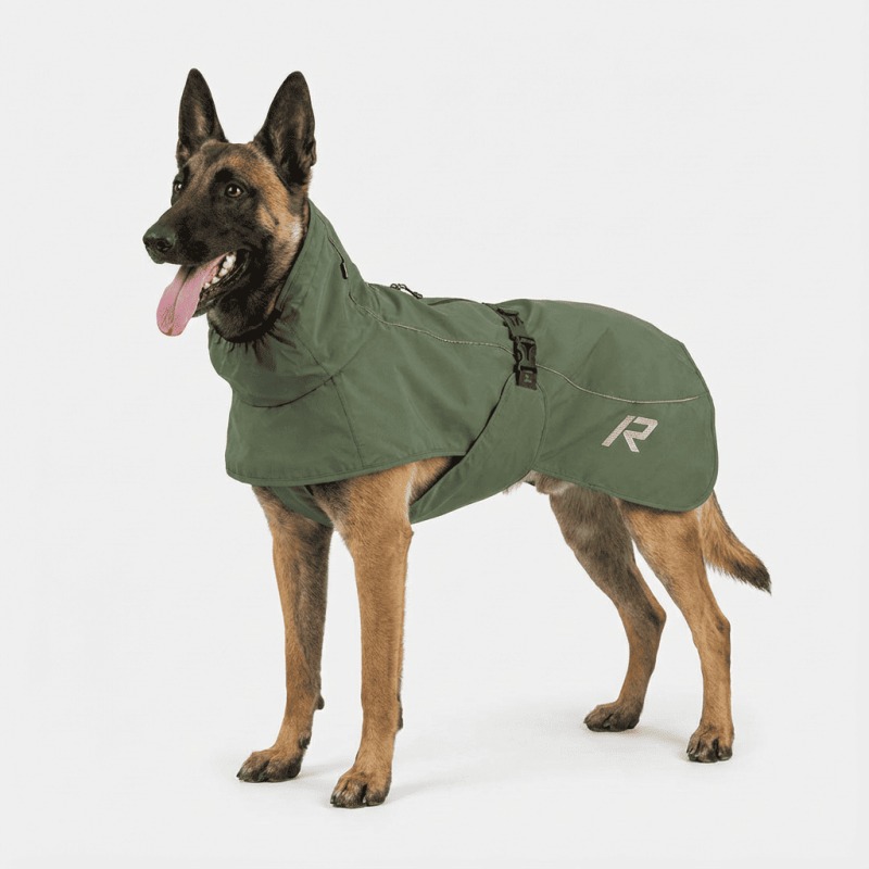Impermeable Sky per a gossos