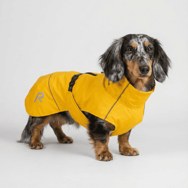 Impermeable Rukka Hayton X groc ECO per a gos