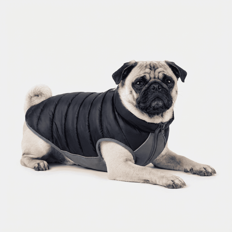 Abrigo reversible para perro RED-DINGO (negro-gris)
