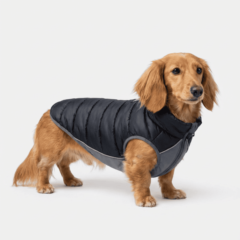Abric reversible per a gos RED-DINGO (negre-gris)