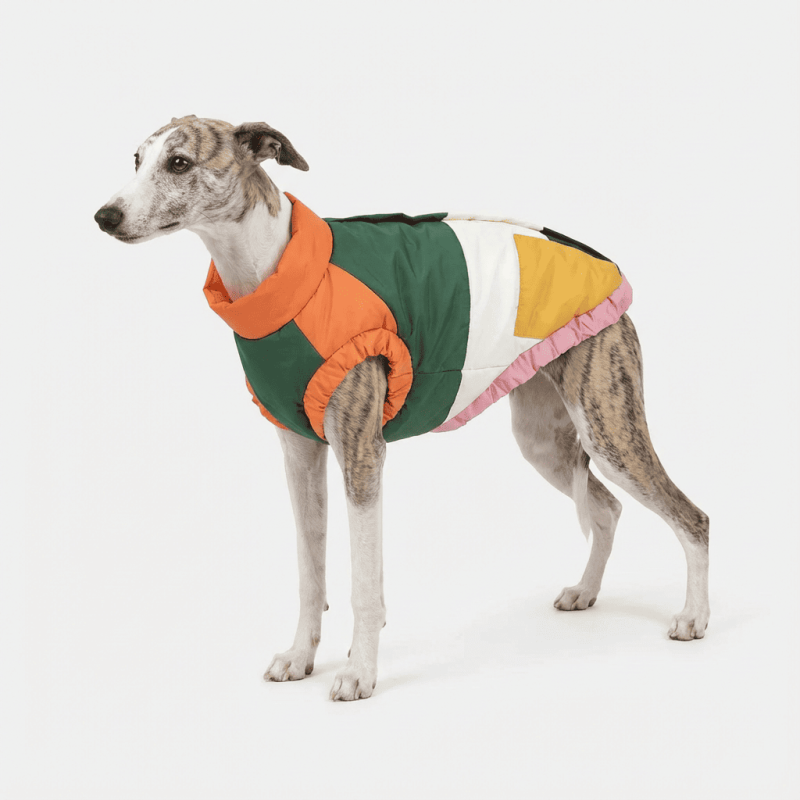 Abrigo multicolor para perro51 Degrees North Color Block | Abrigo cálido para perro