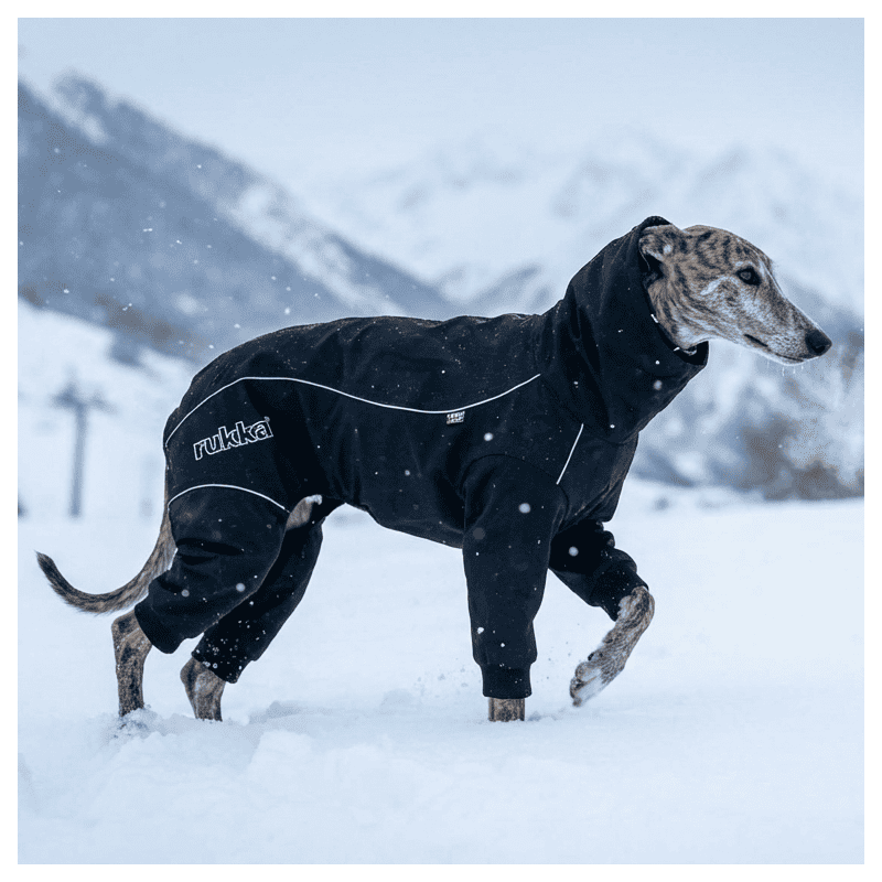 Chubasquero para Perro Total Negro