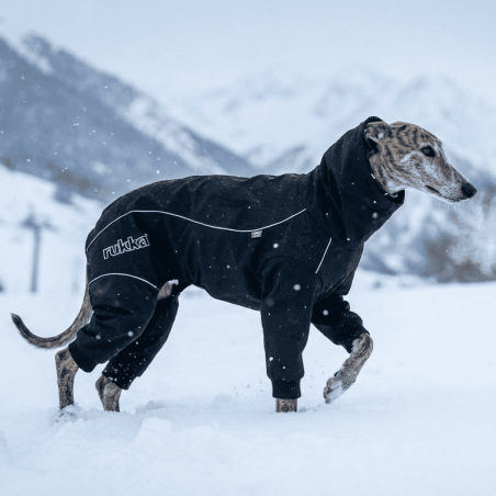 Impermeable per a Gos Total Negre