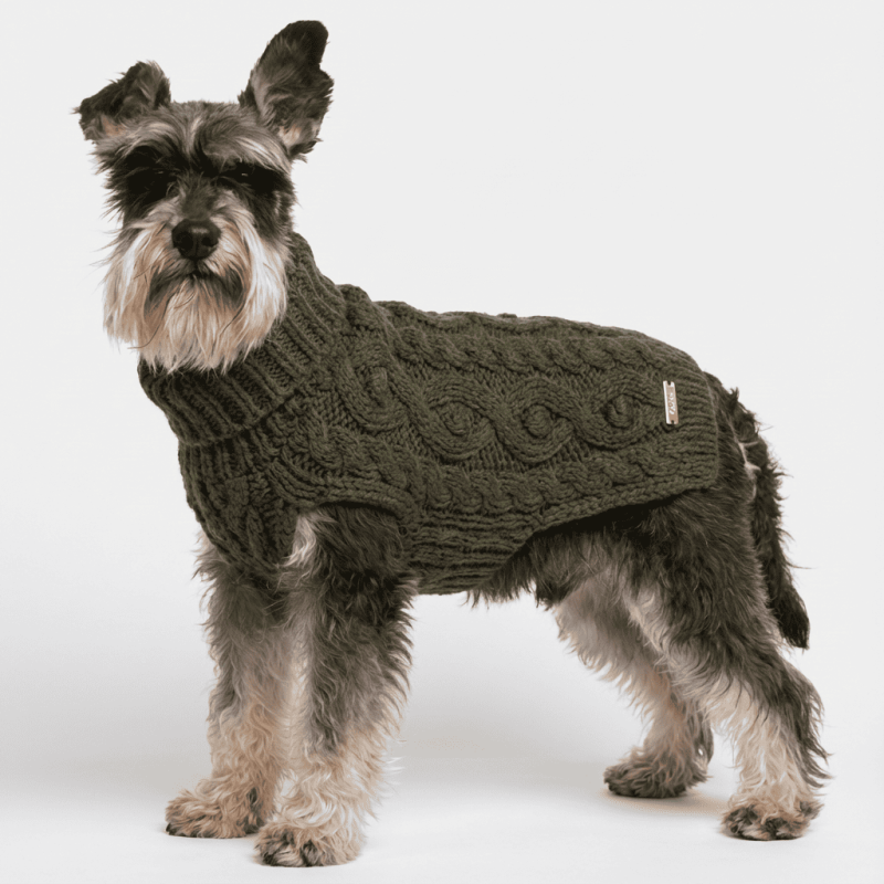 Jersei PAIKKA de llana per a gos | Handmade Knit Sweater