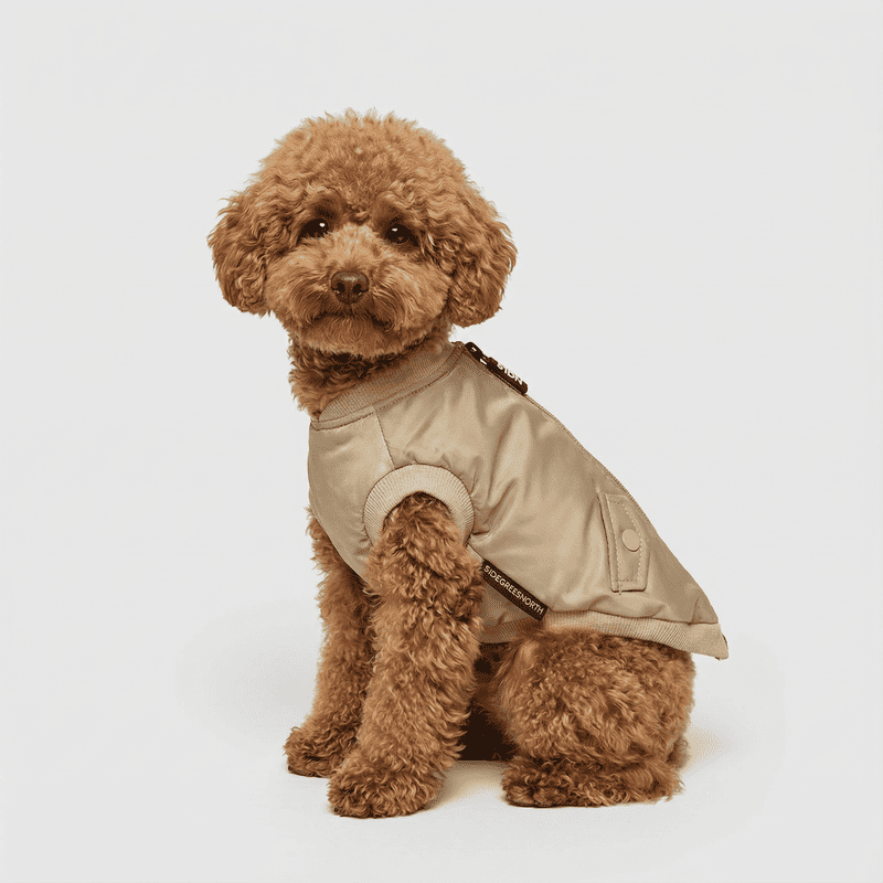 51 Degrees North Bomber Jacket per a gos | Smartdog