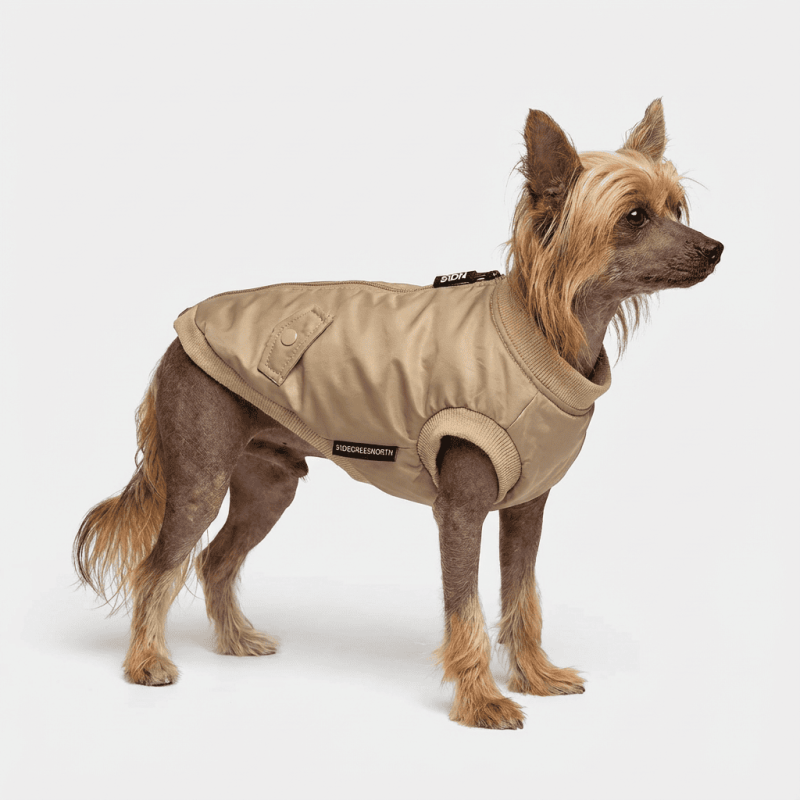 51 Degrees North Bomber Jacket per a gos | Smartdog