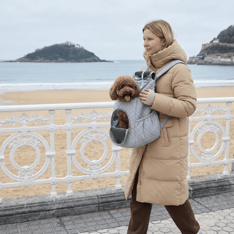 Muffin & Berry Matias | Motxilla còmoda per a gos petit
