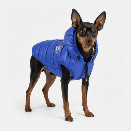 Ice Coat Azul