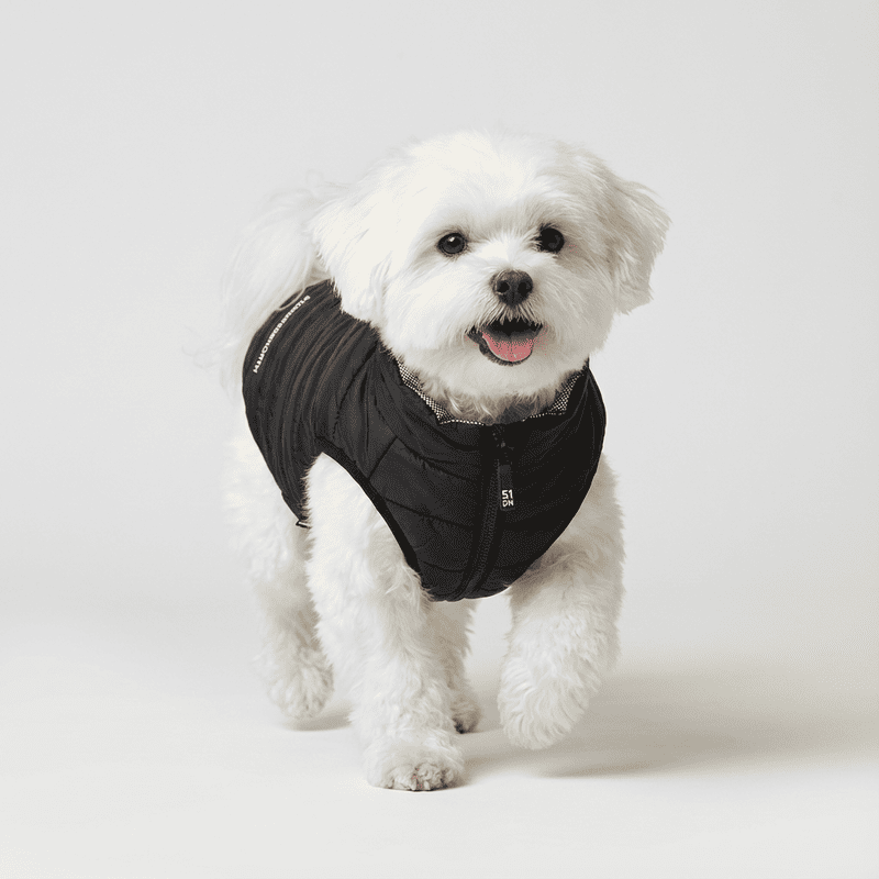 Abric Dunsy Coat negre per a gos | 51 Degrees North