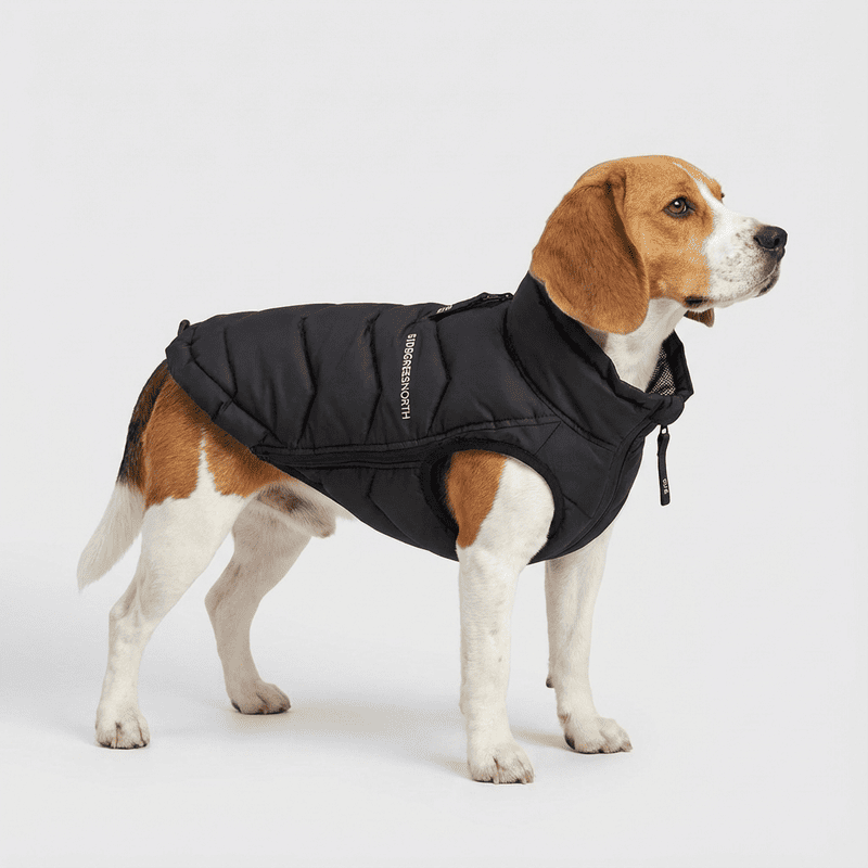 Abrigo Dunsy Coat negro para perro | 51 Degrees North