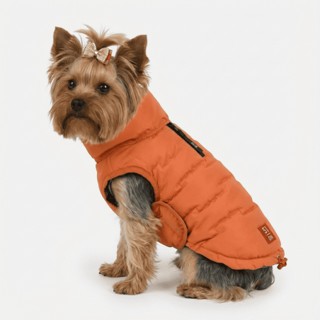 Edge Coat Orange