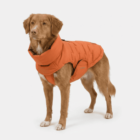 Edge Coat Orange
