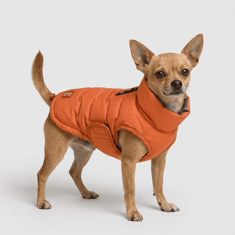 Abrigo para perro Edge Coat Orange | 51 Degrees North