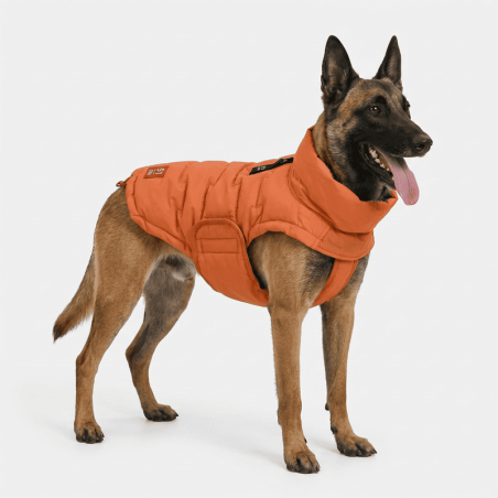 Edge Coat Orange