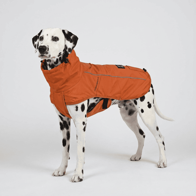 Parka impermeable para perro 51 Degrees North Rust