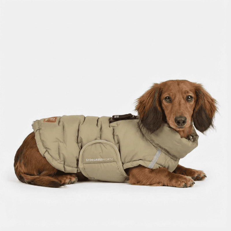 Abrigo Teckel Verde Impermeable Edge Coat | SMARTDOG
