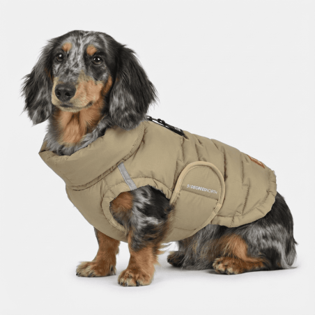 Abric Teckel Verd Impermeable Edge Coat | SMARTDOG