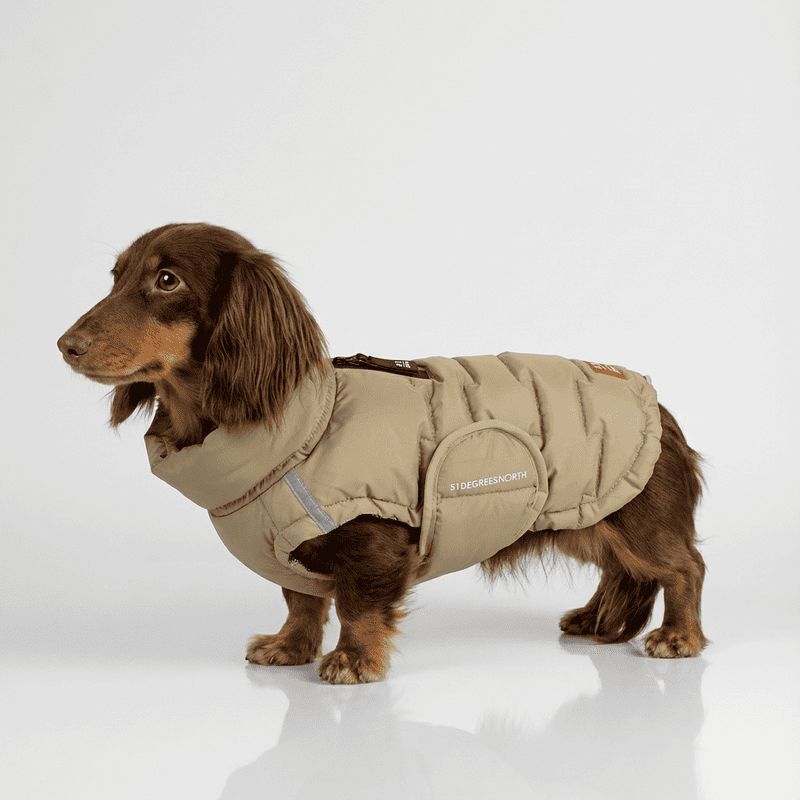 Abrigo Teckel Verde Impermeable Edge Coat | SMARTDOG
