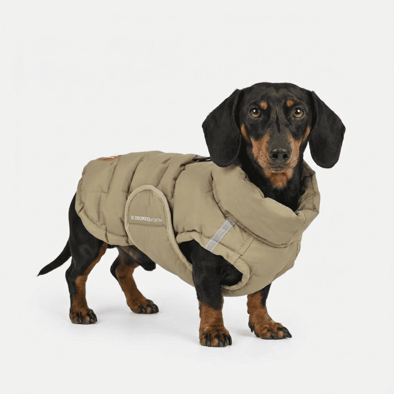 Abrigo Teckel Verde Impermeable Edge Coat | SMARTDOG