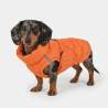 Edge Coat Orange: abrigo térmico para teckel | Smartdog