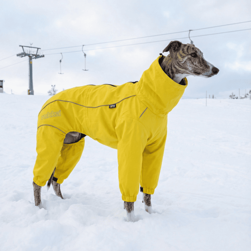 Chubasquero completo amarillo impermeable para perro | Smartdog