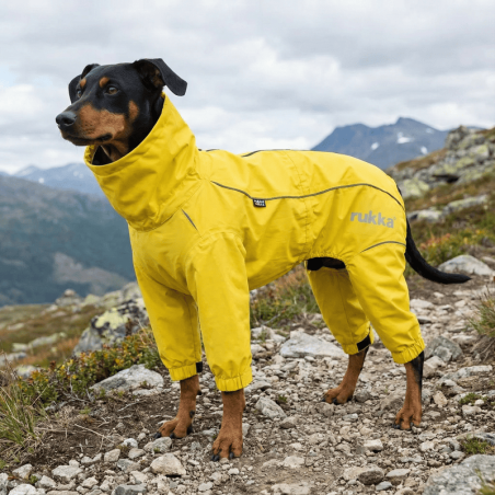 Impermeable complet groc per a gos | Smartdog