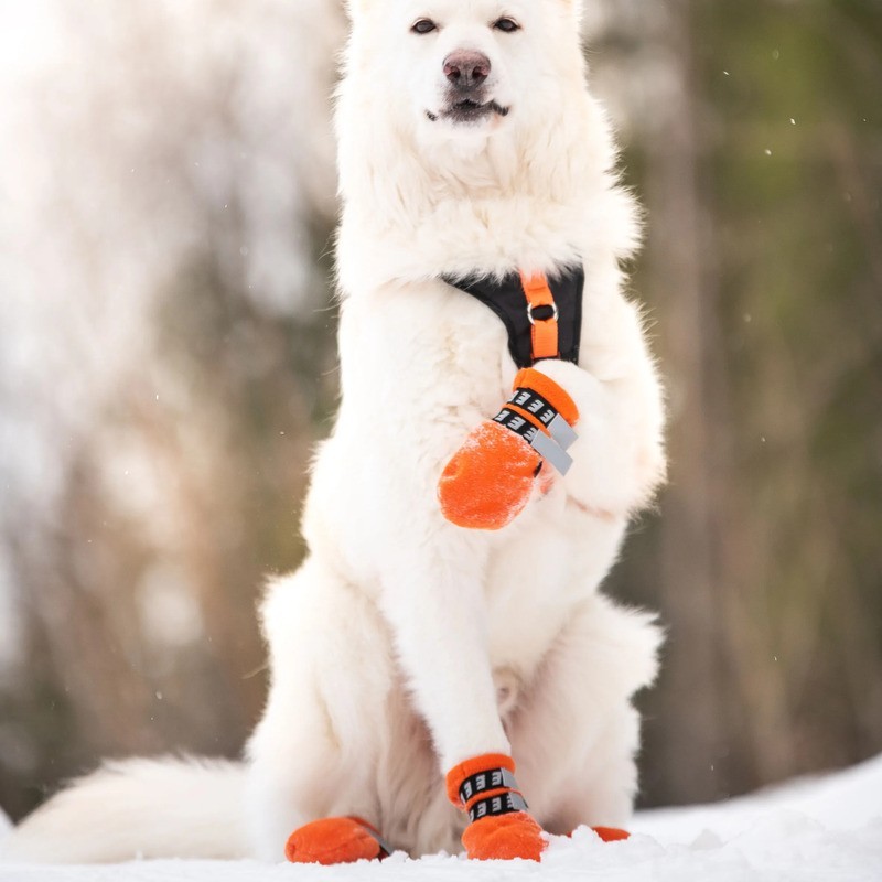 Botas de Forro Polar para Perro Premium
