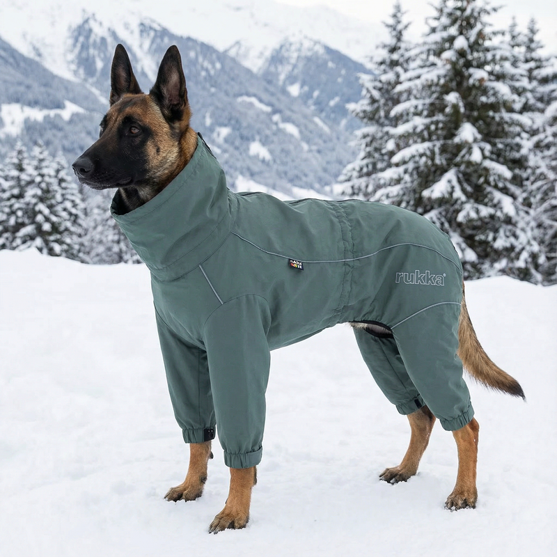 Mono impermeable premium para perro Protect Overall Agave | Protección total lluvia y barro SMARTDOG