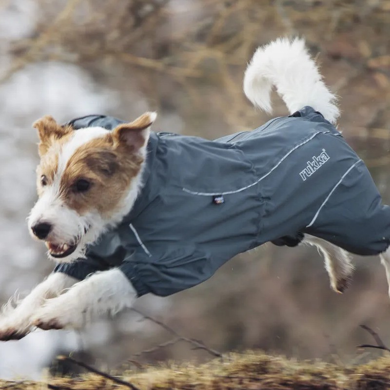 Mono impermeable premium para perro Protect Overall Agave | Protección total lluvia y barro SMARTDOG