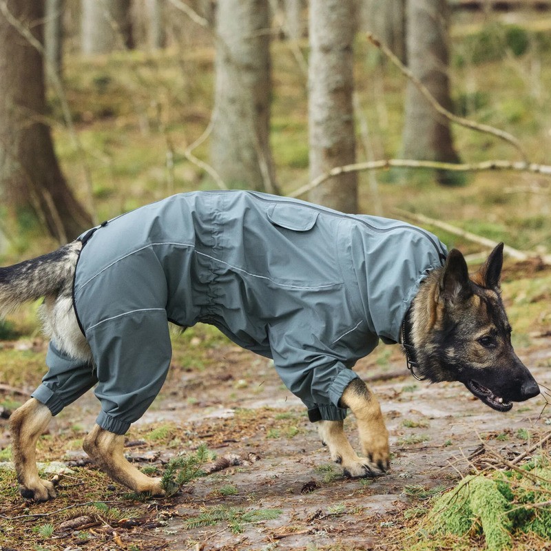 Mono impermeable premium per a gos Protect Overall Agave | Protecció total pluja SMARTDOG
