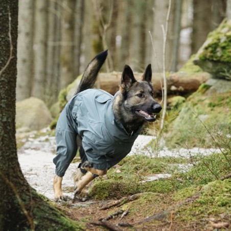 Mono impermeable premium per a gos Protect Overall Agave | Protecció total pluja SMARTDOG