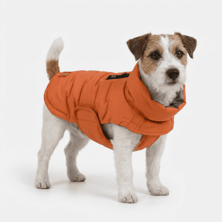 Edge Coat Orange