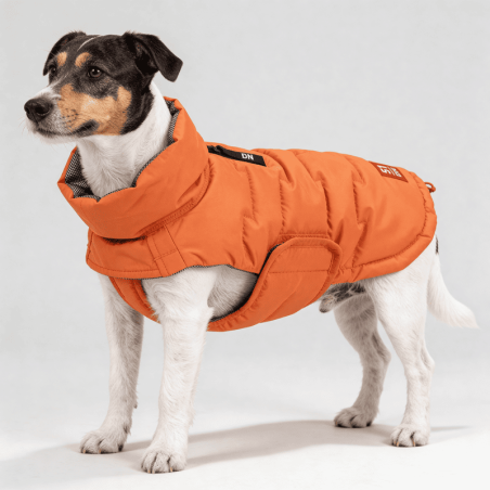 Edge Coat Orange
