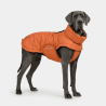 Edge Coat Orange