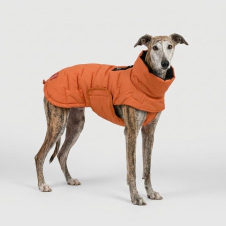 Edge Coat Orange