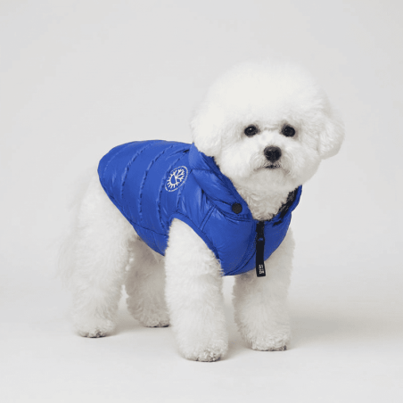 Ice Coat Azul