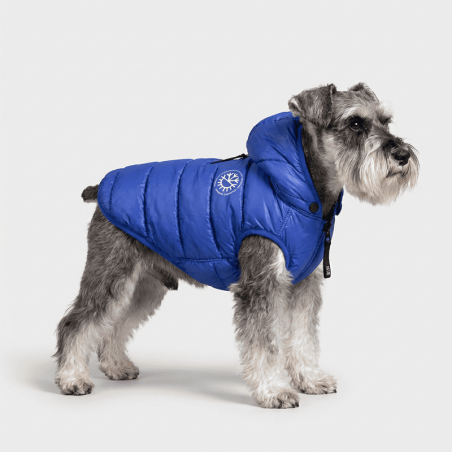 Ice Coat Azul