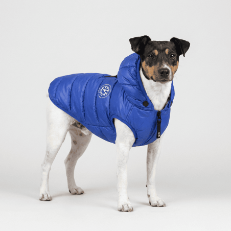 Ice Coat Azul