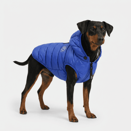Ice Coat Blau