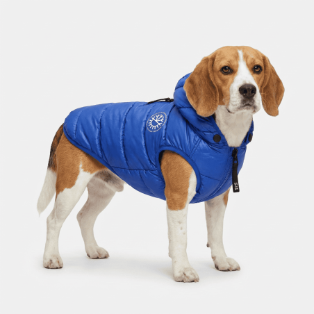 Ice Coat Blau