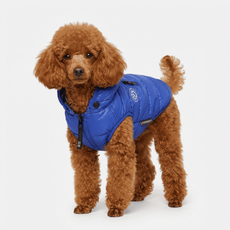 Ice Coat Blau