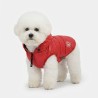 51 Degrees North Ice Coat rojo | Abrigo perro acolchado