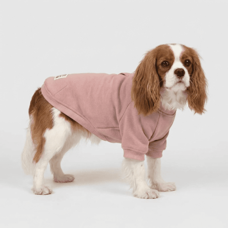 Everyday Sweater