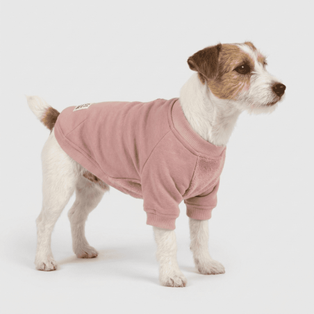 Everyday Sweater