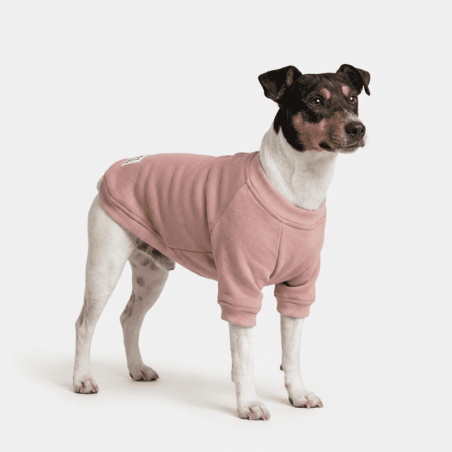 Everyday Sweater