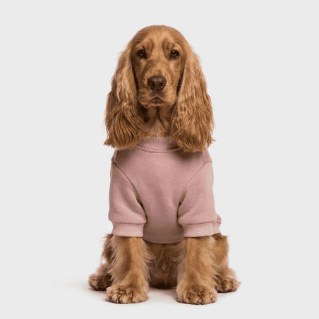 Everyday Sweater