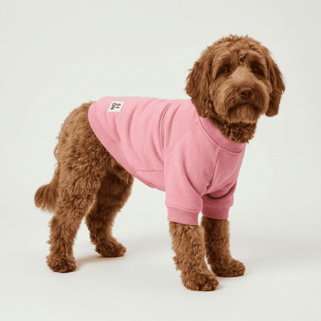 Jersey premium para perro Everyday Sweater